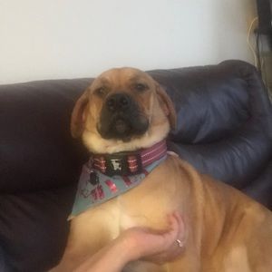 Meet your Posher, Cathy